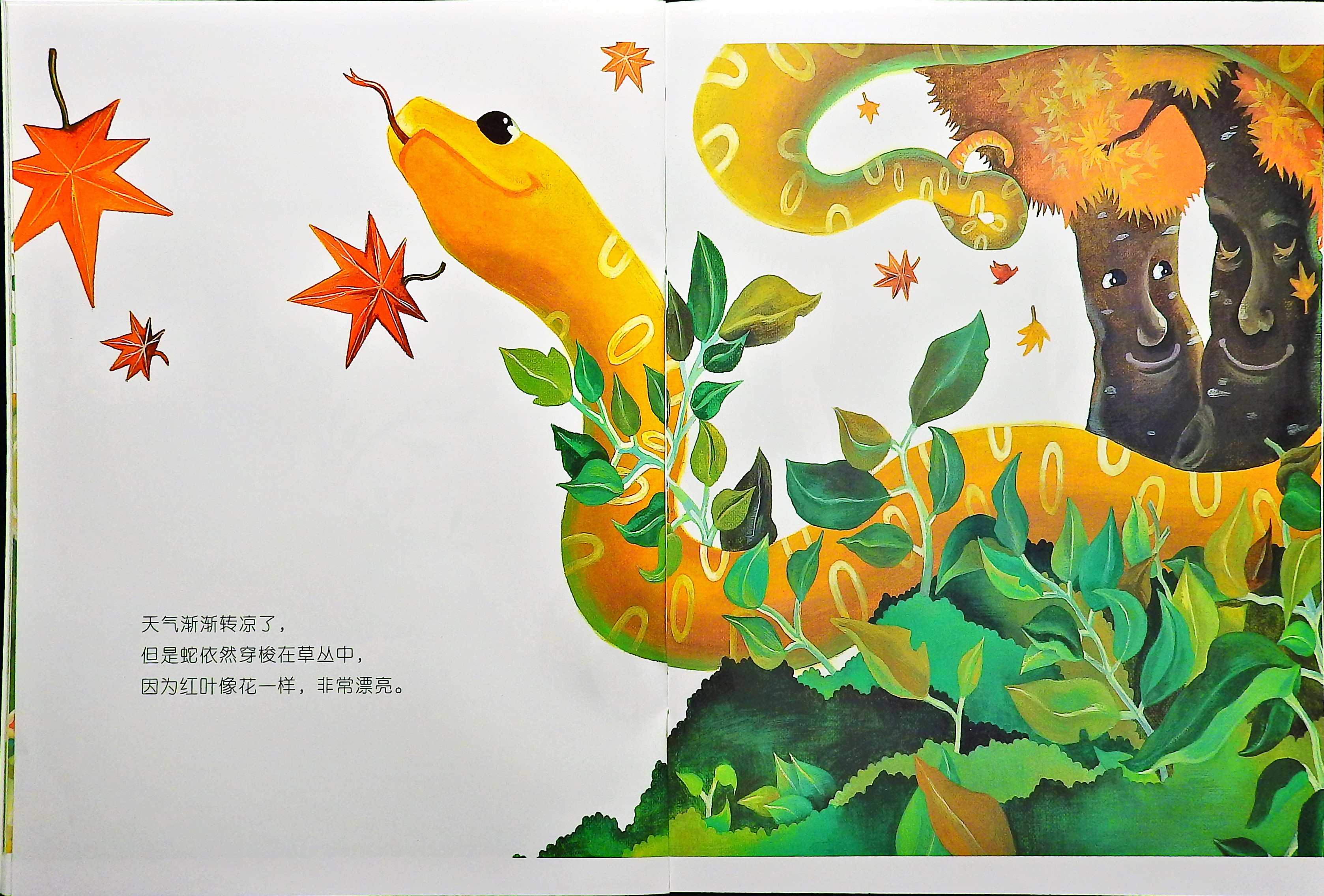 蛇究竟去了哪里？ (08),绘本,绘本故事,绘本阅读,故事书,童书,图画书,课外阅读